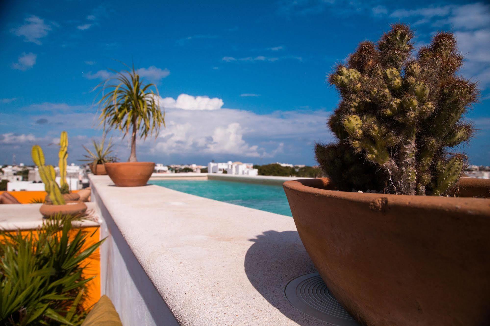 Hotel La Galeria by Bunik Playa del Carmen Exterior foto
